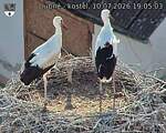 Capi_Dubne_20260710_190503.jpg