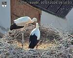 Capi_Dubne_20260710_191003.jpg