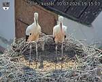 Capi_Dubne_20260710_191503.jpg