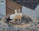 Capi_Dubne_20260710_193503.jpg