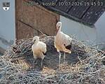 Capi_Dubne_20260710_194503.jpg