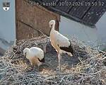 Capi_Dubne_20260710_195002.jpg