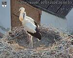 Capi_Dubne_20260710_200003.jpg