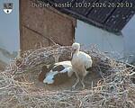Capi_Dubne_20260710_202003.jpg
