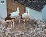 Capi_Dubne_20260710_205004.jpg