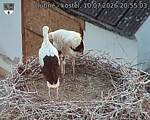 Capi_Dubne_20260710_205503.jpg