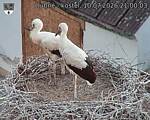 Capi_Dubne_20260710_210003.jpg