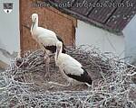Capi_Dubne_20260710_210504.jpg