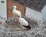 Capi_Dubne_20260710_211003.jpg
