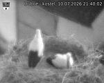 Capi_Dubne_20260710_214002.jpg