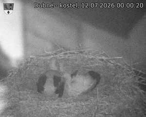 Capi_Dubne_20260712_000020.jpg (1350&nbsp;x&nbsp;1080)