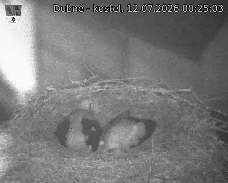 preload