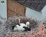 Capi_Dubne_20260712_053504.jpg