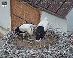Capi_Dubne_20260712_101004.jpg
