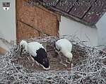 Capi_Dubne_20260712_101502.jpg