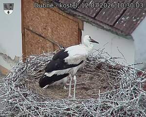 preload