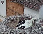 Capi_Dubne_20260712_104504.jpg
