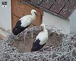 Capi_Dubne_20260712_110504.jpg