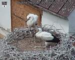 Capi_Dubne_20260712_115504.jpg