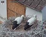 Capi_Dubne_20260712_121004.jpg