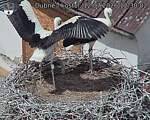 Capi_Dubne_20260712_123002.jpg