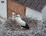 Capi_Dubne_20260712_130503.jpg