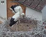 Capi_Dubne_20260712_132504.jpg