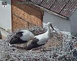 Capi_Dubne_20260712_135502.jpg