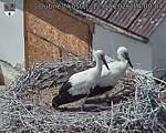 Capi_Dubne_20260712_140004.jpg