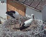 Capi_Dubne_20260712_140502.jpg