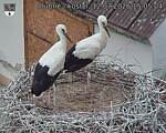 Capi_Dubne_20260712_150504.jpg