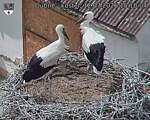 Capi_Dubne_20260712_151004.jpg