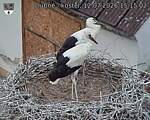 Capi_Dubne_20260712_151502.jpg
