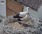 Capi_Dubne_20260712_160002.jpg