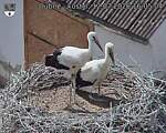 Capi_Dubne_20260712_160504.jpg
