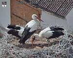 Capi_Dubne_20260712_161502.jpg