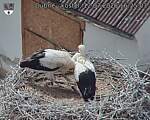 Capi_Dubne_20260712_162504.jpg