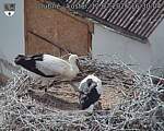 Capi_Dubne_20260712_163004.jpg