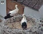 Capi_Dubne_20260712_163503.jpg
