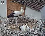 Capi_Dubne_20260712_165002.jpg