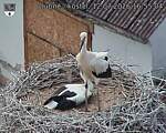 Capi_Dubne_20260712_165504.jpg
