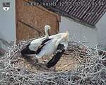 Capi_Dubne_20260712_170504.jpg