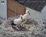 Capi_Dubne_20260712_175504.jpg