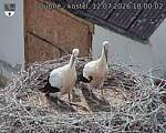 Capi_Dubne_20260712_180002.jpg
