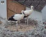 Capi_Dubne_20260712_181504.jpg