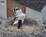 Capi_Dubne_20260712_183002.jpg