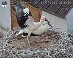 Capi_Dubne_20260712_183502.jpg