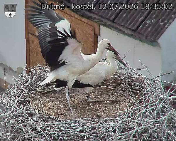 preload