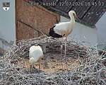 Capi_Dubne_20260712_184503.jpg