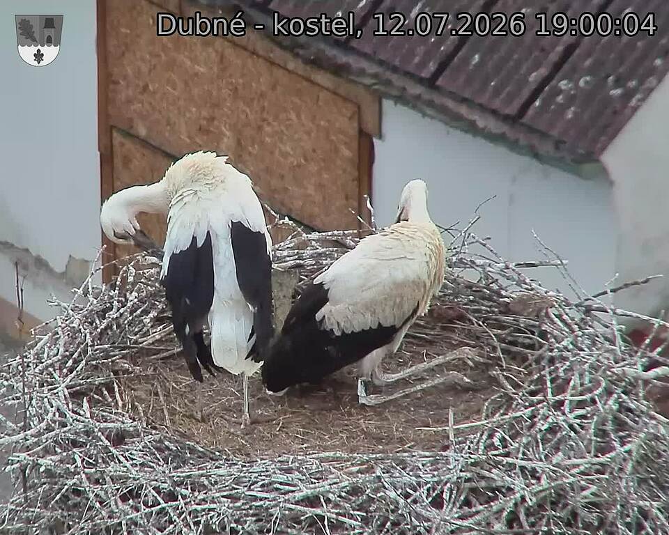 Capi_Dubne_20260712_190004.jpg (1350&nbsp;x&nbsp;1080)